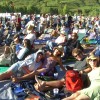 bluegrass