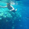 Nick swimming with the fishies at the Blue Hole, a famous scuba spot near Dahab on the Sinai Penninsula. We are in the Red Sea here..